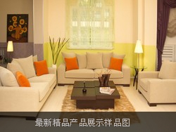 产品演示样品图片